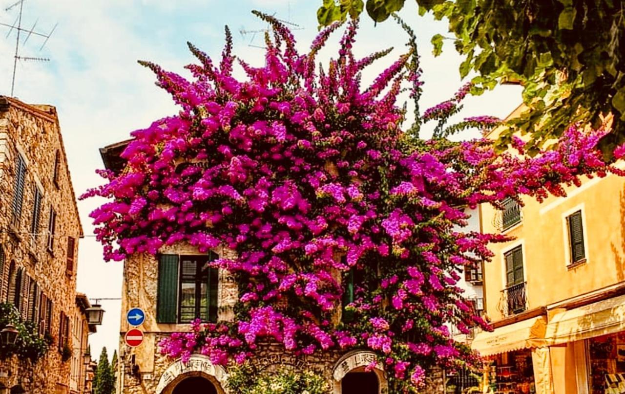 Boutique Hotel Σιρμιόνε Εξωτερικό φωτογραφία